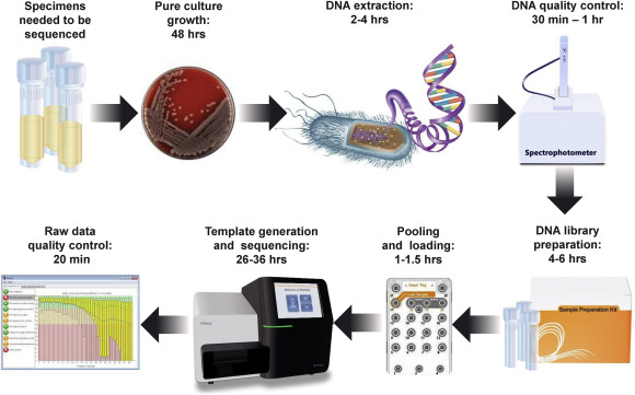 Next-generation sequencing technologies and their application to the study and control of bacterial infections