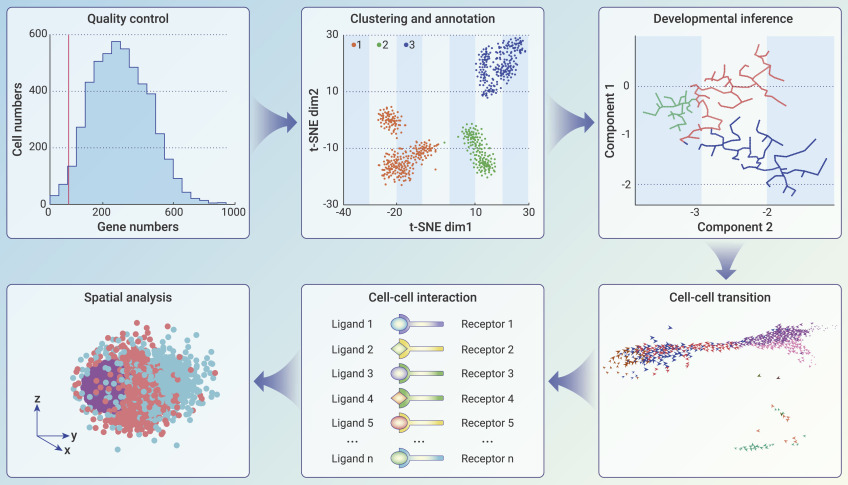 Single-cell technologies: From research to application