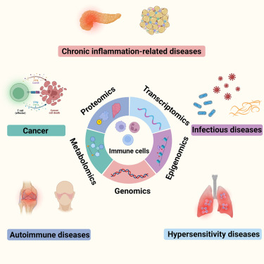 Integrative multi-omics approaches to explore immune cell functions: Challenges and opportunities