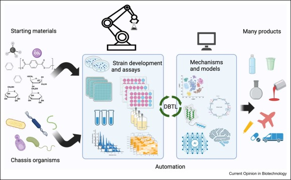 From bench to biofactory: high-throughput technologies and automated workflows to accelerate biomanufacturing
