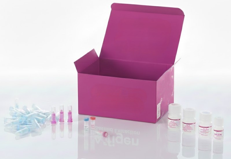 Kit ELISA de Factor de Necrosis Tumoral Canino Proteína 6 Inducida por Alfa - 96 Pozo