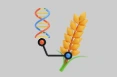 Tgasciences
